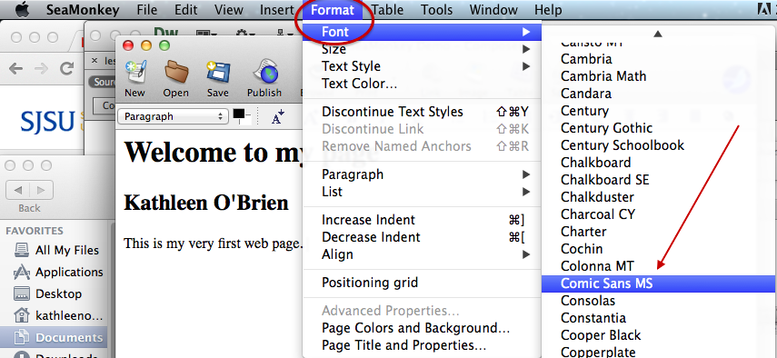seamonkey font menu
